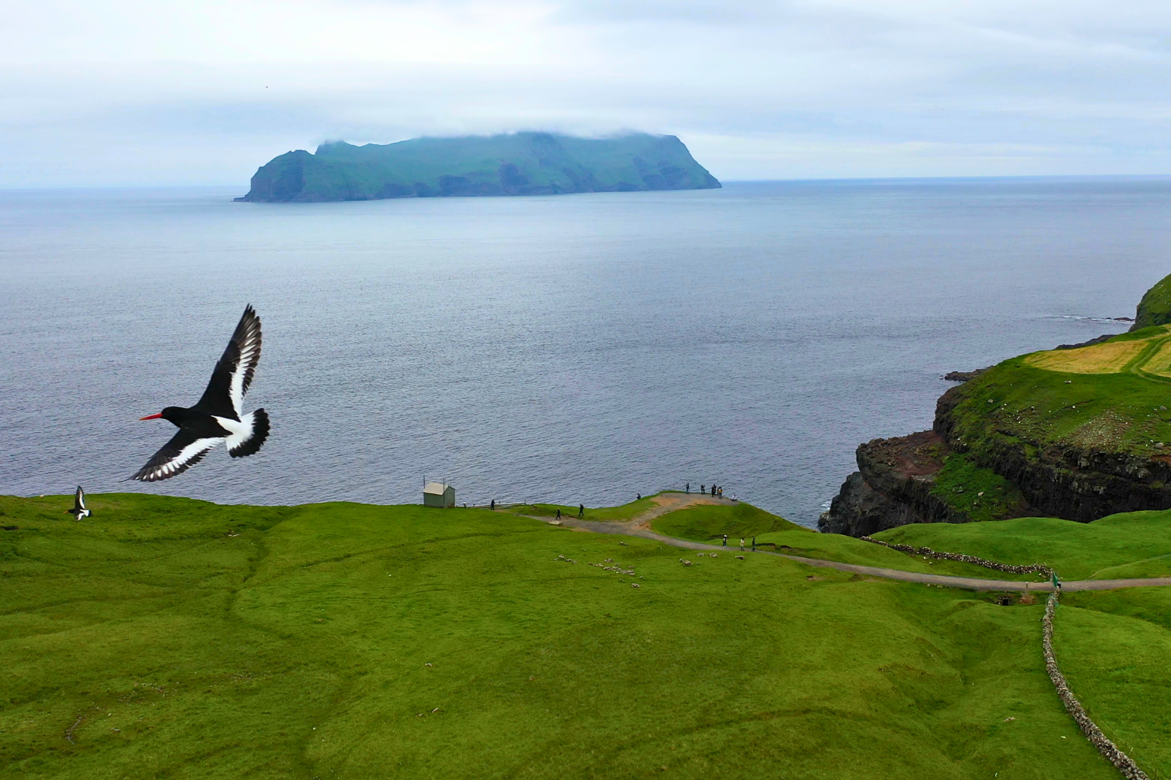 midvagur, vágar island.webp